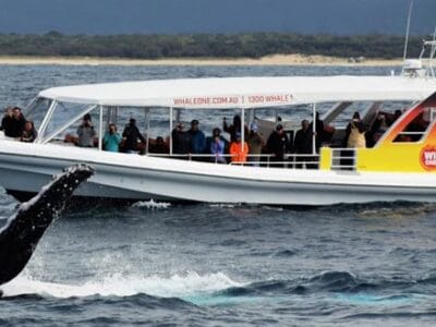 Whale One - Sunshine coast - Tour Australia In Style - Australia Travel