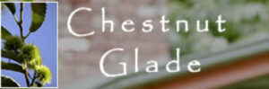 Chestnut Glade