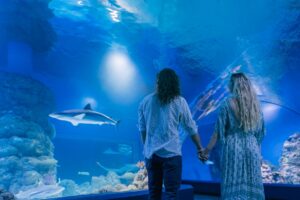 Cairns Aquarium - Cairns Aquarium