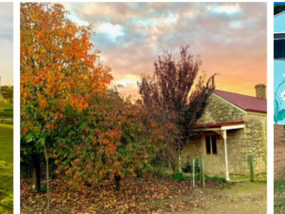 Redwing Farmstay - Coober pedy