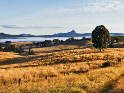 Visit Scenic Rim - South East Qld - O'Reilly's Rainforest Retreat