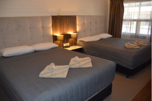 Angaston Vineyards Motel - vineyards motel