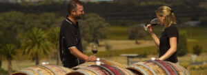 Seppeltsfield Estate - Barossa Valley - seppeltsfield