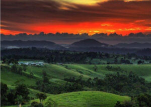 Cairns Food and Wine Tours - Cairns