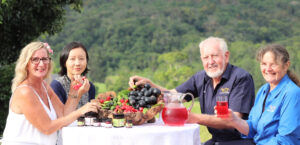 Cairns Food and Wine Tours Kuranda & Outback Tours - Cairns