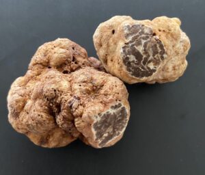 Redground Truffle Hunts & Farmstay - redground