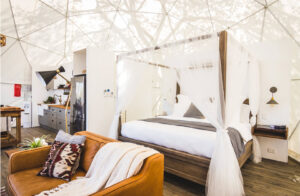 Faraway Domes - Faraway Domes faraway domes