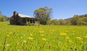 Moonbah Hut - Snowy Mountains - Moonbah Hut