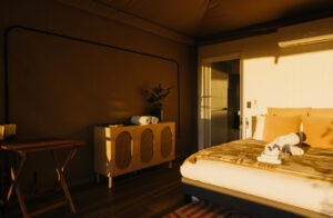 CANVS by CABN - Seppeltsfield, Barossa - CANVS