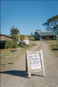 Levenvale Farm - Bellingen - Levenvale Farm
