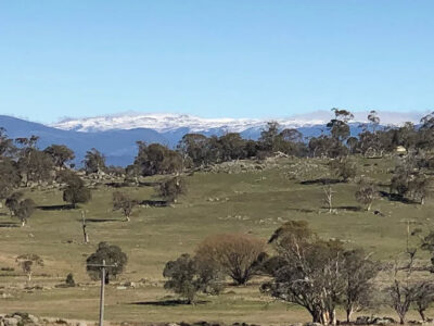 Avonside Alpine Estate Farm Stay