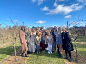 Vino Rosso Wine Tours & more - Vino Rosso