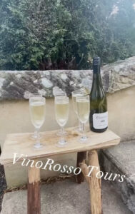 Vino Rosso Wine Tours & more - Vino Rosso