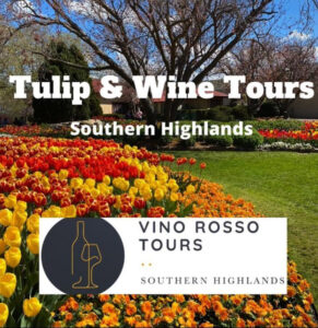 Vino Rosso Wine Tours & more - Vino Rosso