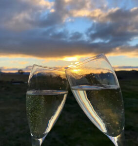 Vino Rosso Wine Tours & more - Vino Rosso