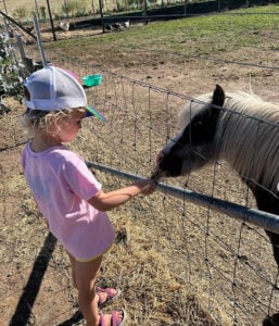 Hillview Farmstay - Hillview