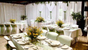 Hillview Farmstay - Hillview