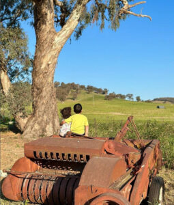 Hillview Farmstay - Hillview