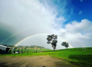 Hillview Farmstay - Hillview