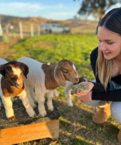 Hillview Farmstay - Hillview