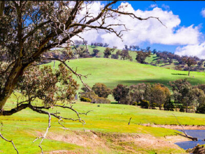 Hillview