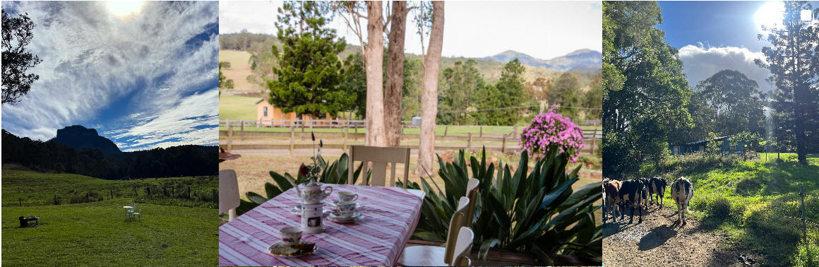 Dairy Flat Farm - Authentic Australian Farmstay - Australia Travel