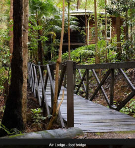 Wollumbin Palms Rainforest Retreat - Wollumbin Palms