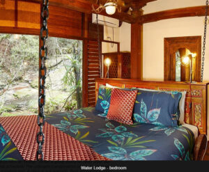 Wollumbin Palms Rainforest Retreat - Wollumbin Palms