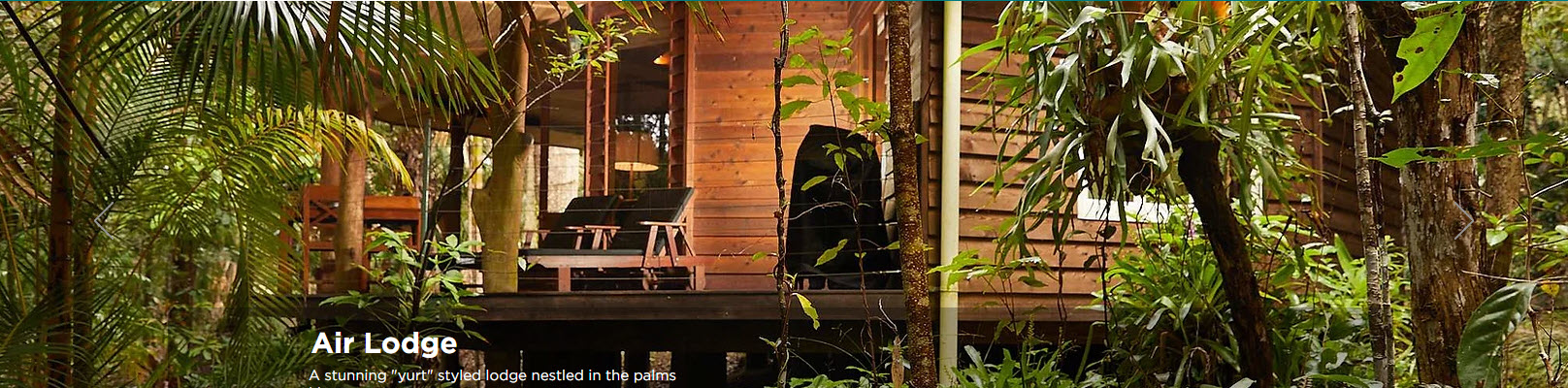 Wollumbin Palms Rainforest Retreat - Wollumbin Palms