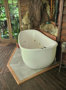Wollumbin Palms Rainforest Retreat - Wollumbin Palms