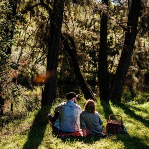 Riverlea Stables - Mudgee - Riverlea Stables