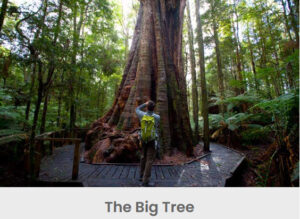 Stanley Seaview Inn - Stanley Seaview