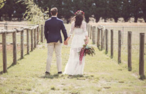 Hedge Farm - hedge Farm