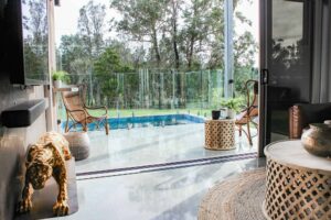 Jaguar Stay - South Coast - jaguar