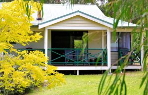 Bushy Lake Chalets - Bushy lake