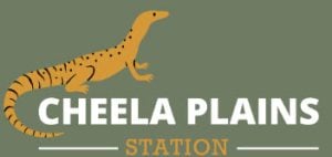 Cheela Plains Station - Paraburdoo WA - Cheela plains Cheela Plains