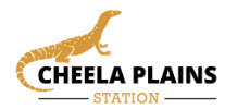 Cheela Plains Station - Paraburdoo WA - Cheela plains