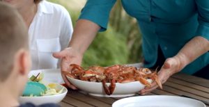 Marys Farm Cottages - Marys