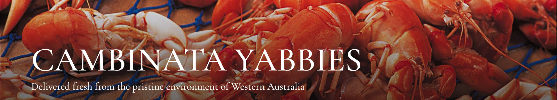 Cambinata Yabbies at Mary's Farm - cambinata yabbies