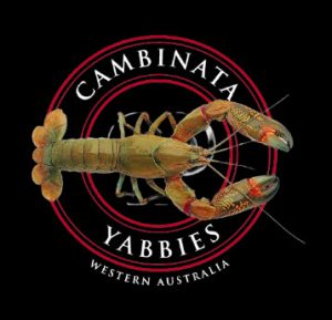Cambinata Yabbies at Mary's Farm - cambinata yabbies