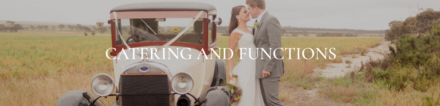 Cambinata Yabbies at Mary's Farm - cambinata yabbies