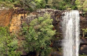 Redleaf Farm - Redleaf