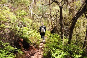 Redleaf Farm - Redleaf