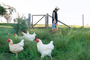 Rosby Wines & Guesthouse - Rosby